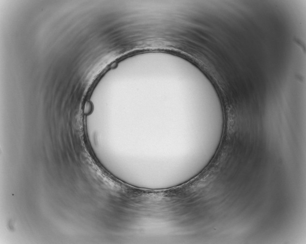 X0000103940990200810031318