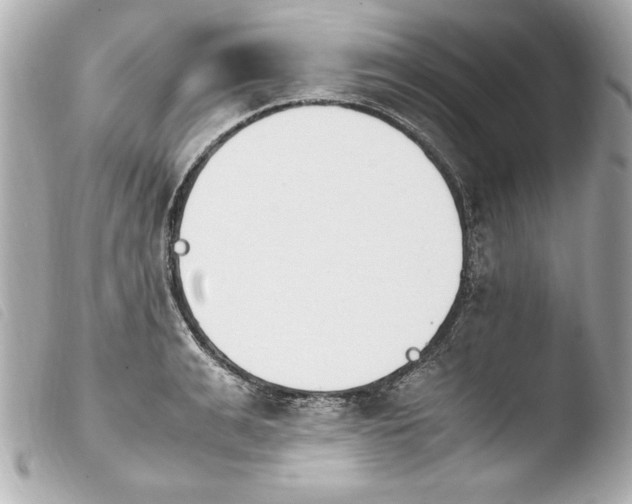 X0000103940991200810031318