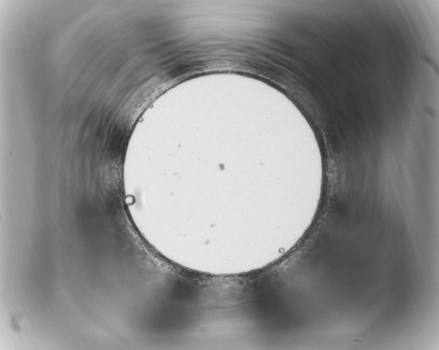 X0000103940993200810031318