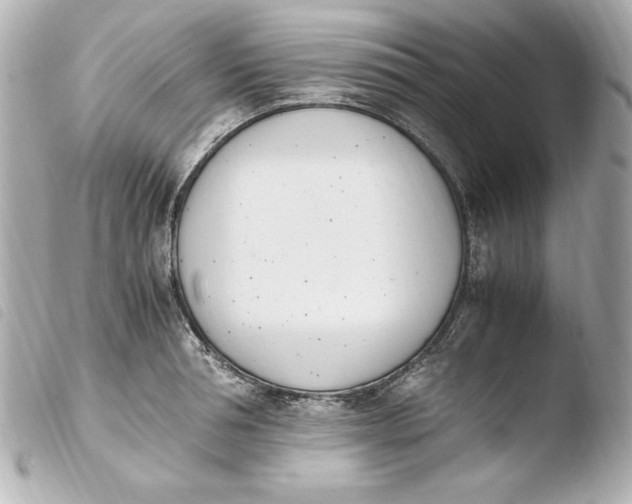 X0000103940994200810031318