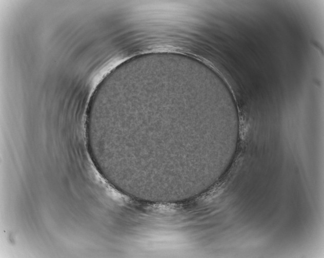 X0000103940995200810031318