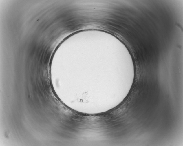 X0000103940996200810031318