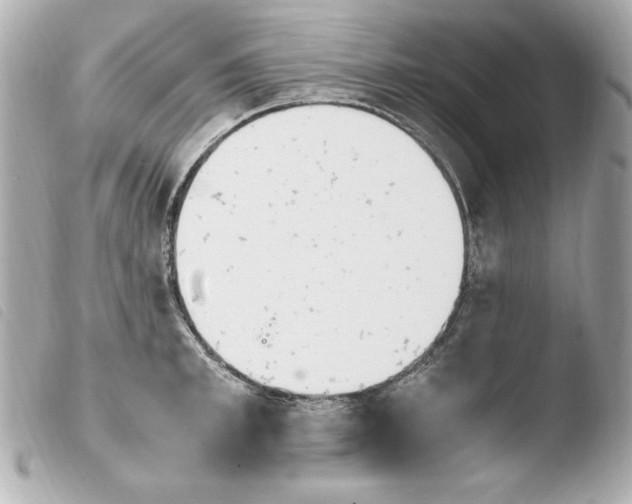 X0000103940997200810031318