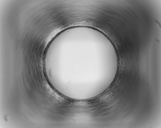 X0000103940998200810031318