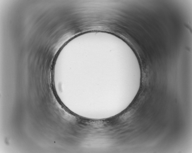 X0000103940999200810031318