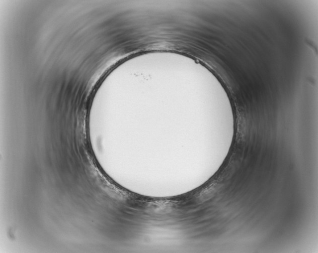 X0000103941000200810031318