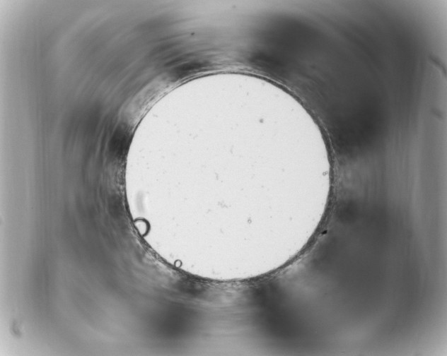 X0000103941001200810031318