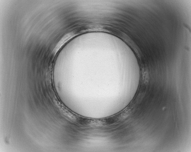 X0000103941002200810031318