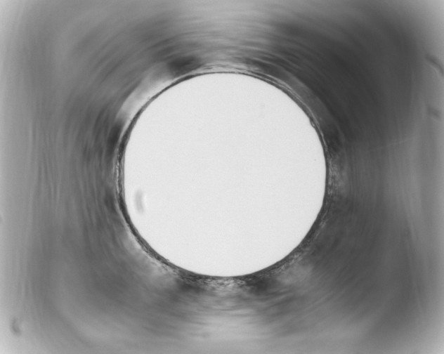 X0000103941003200810031318