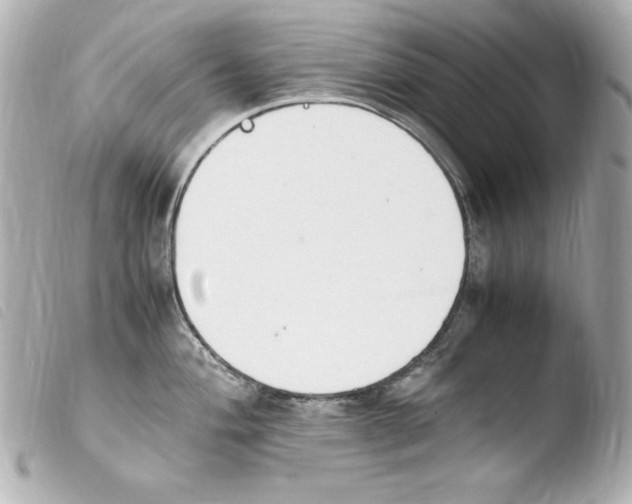 X0000103941004200810031318