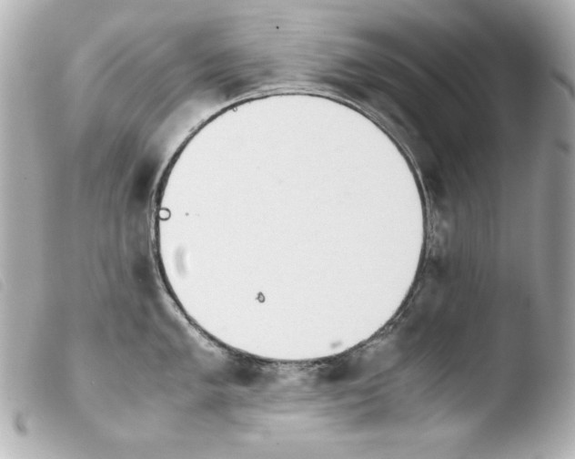 X0000103941005200810031318