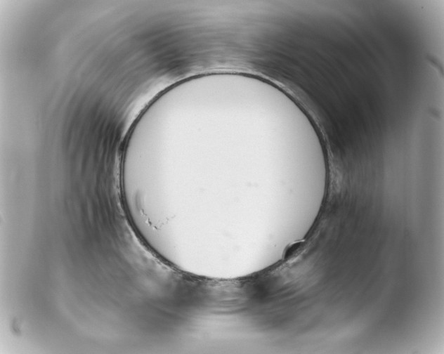 X0000103941006200810031318