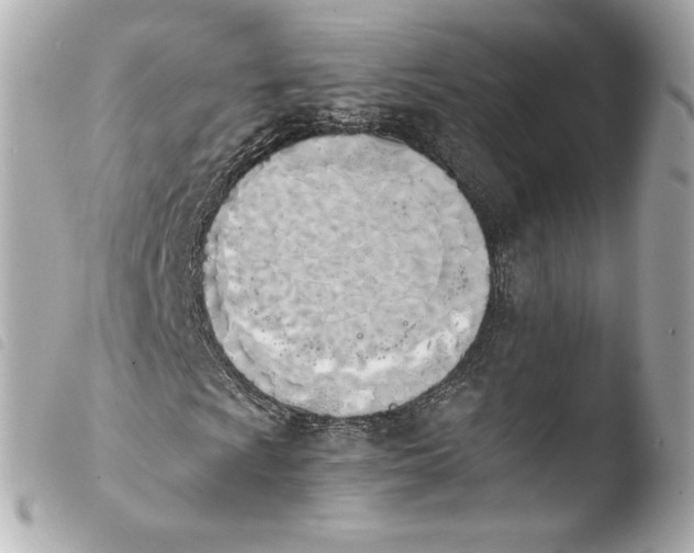 X0000103941009200810031317