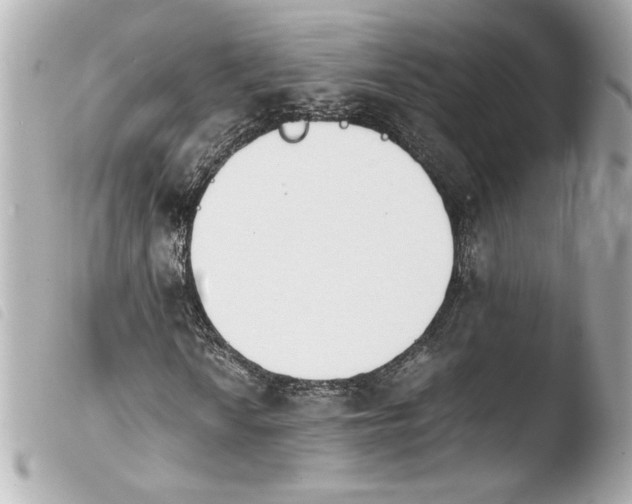 X0000103941010200810031317