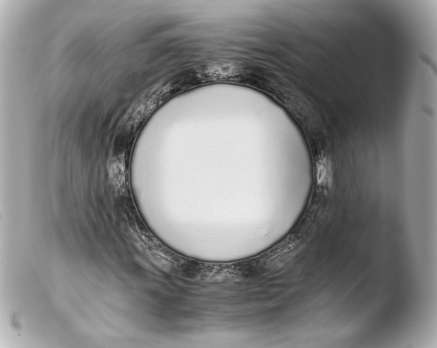 X0000103941011200810031317