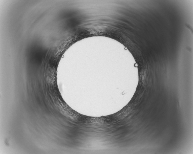 X0000103941012200810031317