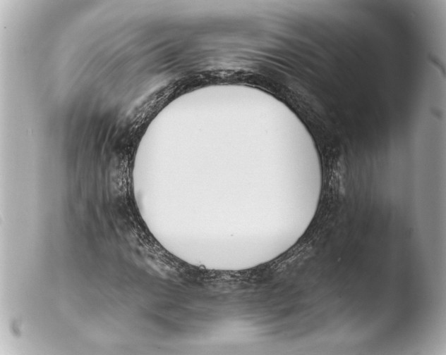 X0000103941014200810031317