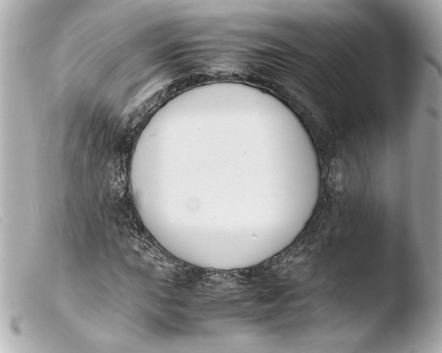 X0000103941015200810031317