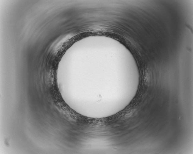 X0000103941016200810031317