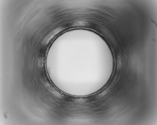 X0000103941017200810031317