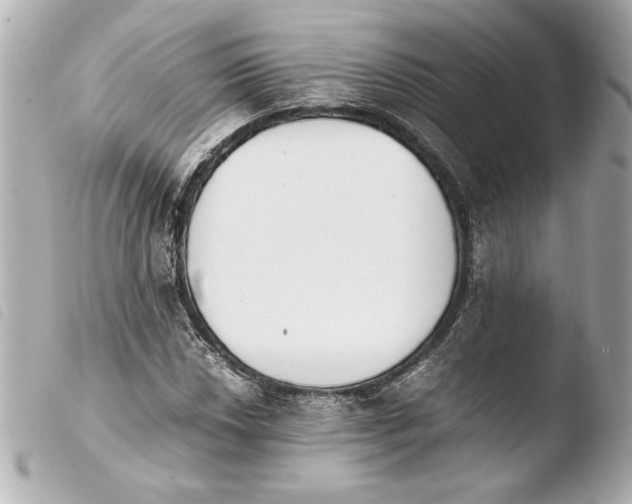 X0000103941018200810031317