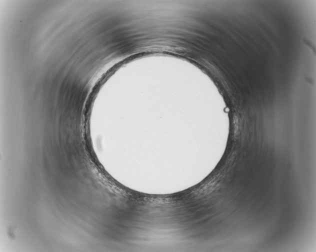 X0000103941020200810031317