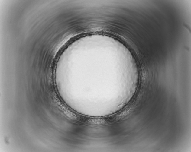 X0000103941023200810031317