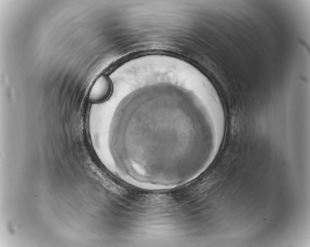 X0000103941024200810031317