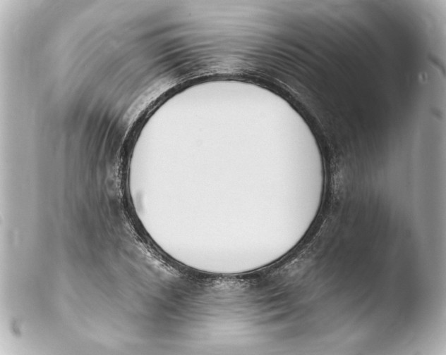 X0000103941026200810031317