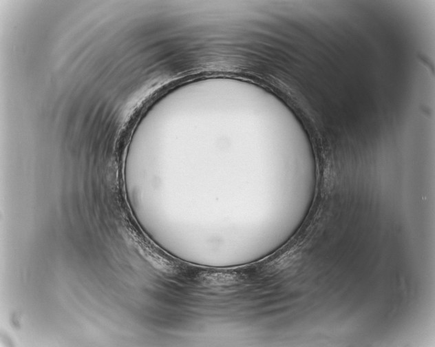 X0000103941027200810031317