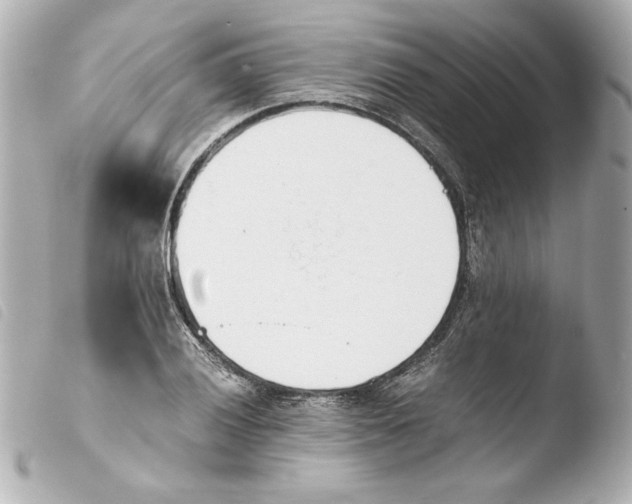 X0000103941028200810031317