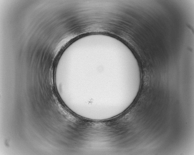 X0000103941030200810031317