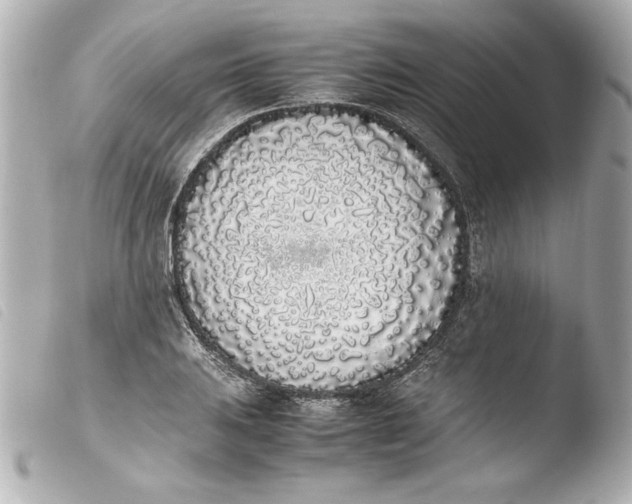 X0000103941031200810031317