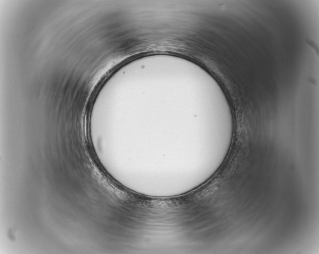 X0000103941032200810031317