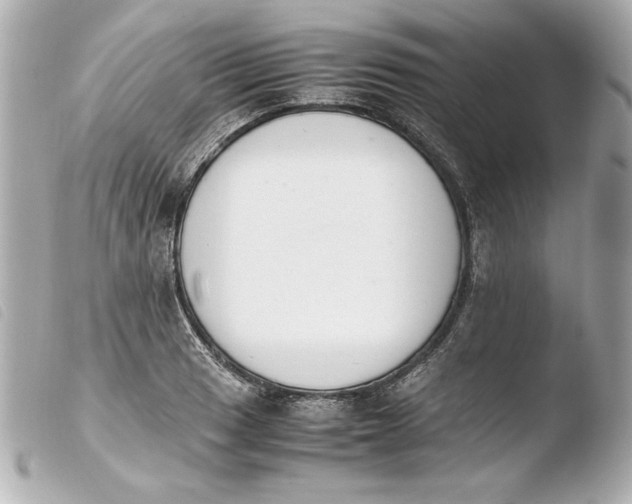 X0000103941033200810031317