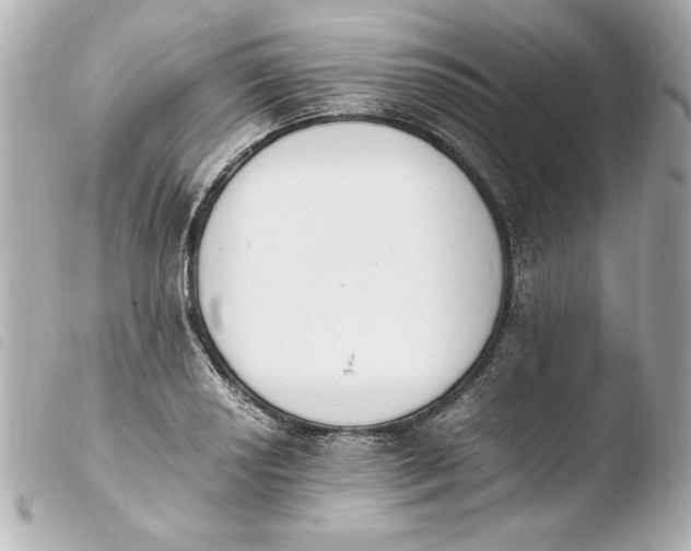 X0000103941034200810031317