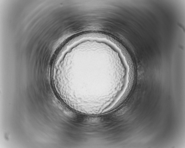 X0000103941035200810031317