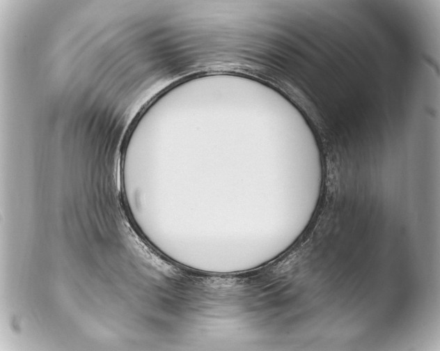 X0000103941036200810031318