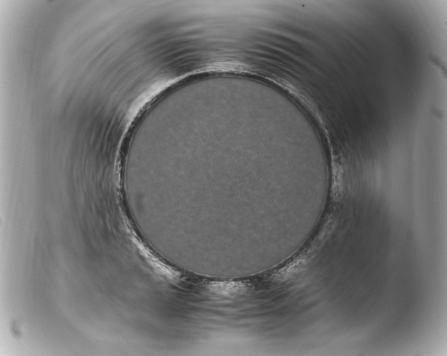 X0000103941037200810031318