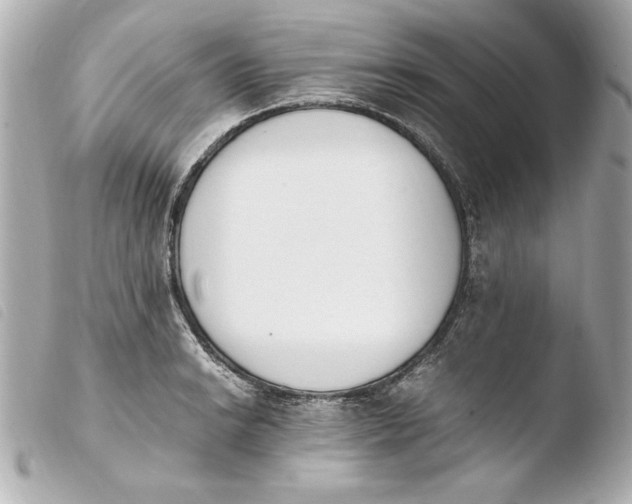 X0000103941038200810031318