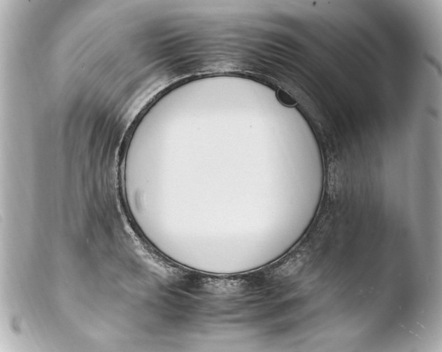 X0000103941039200810031318