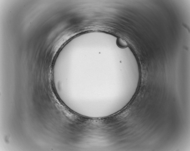 X0000103941040200810031318