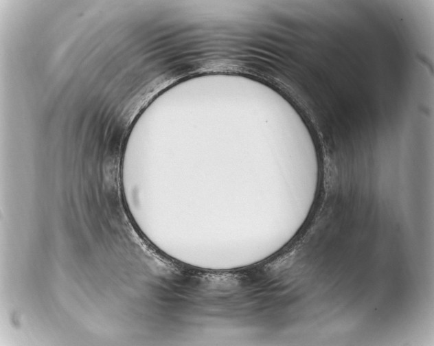 X0000103941041200810031318