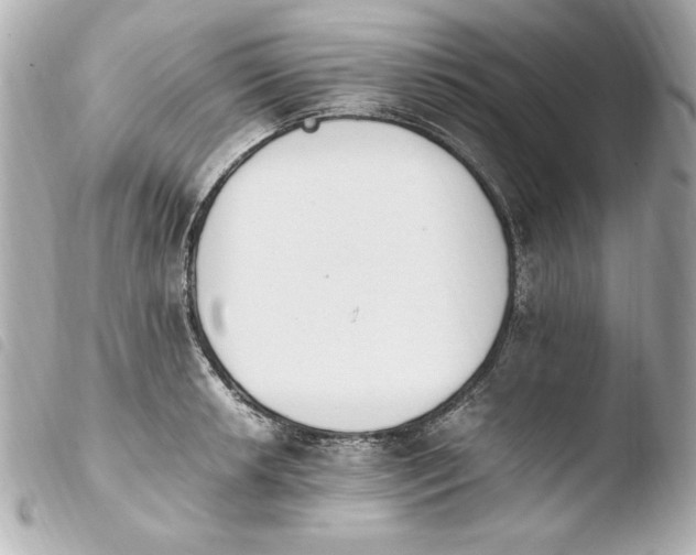 X0000103941042200810031318