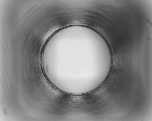 X0000103941043200810031318