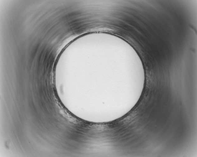 X0000103941044200810031318