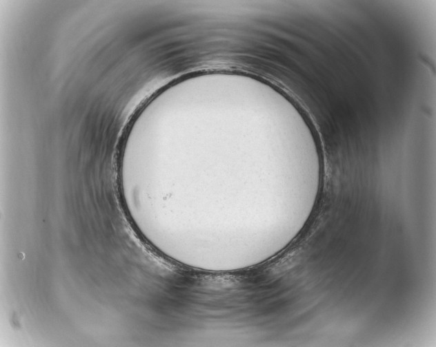 X0000103941045200810031318