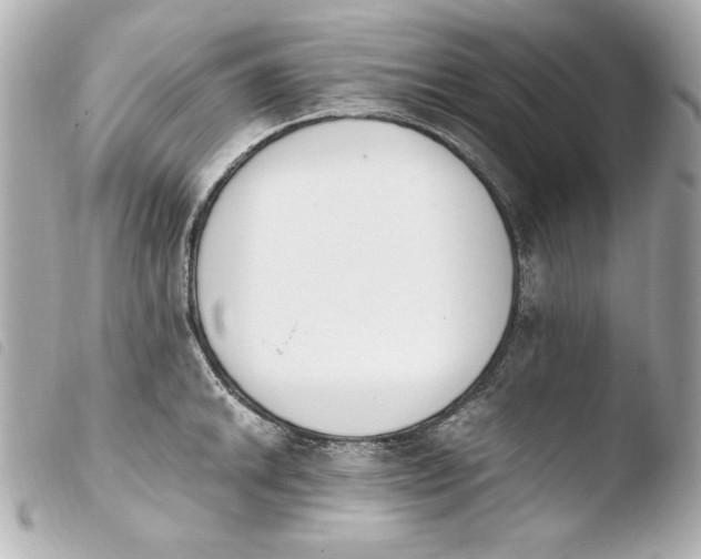 X0000103941046200810031318