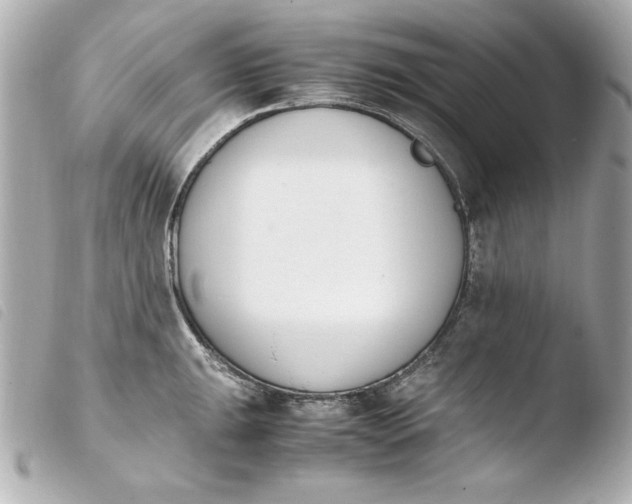 X0000103941047200810031318