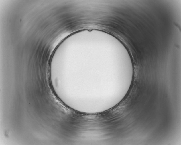 X0000103941048200810031318